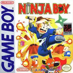 Ninja Boy
